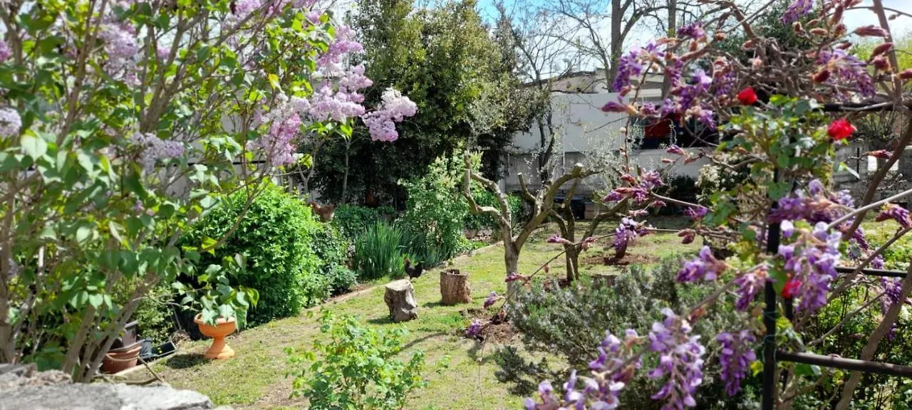 Apartman Mili Пула Апартаменты